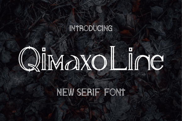 Qimaxo Line: A Stylish Display Font for Modern Editorial Design